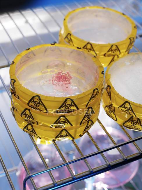 Gestapelte Petrischalen mit Biogefahrenwarnung. — Stockfoto