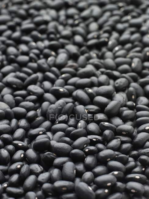 Close-up view of black turtle beans. — Stock Photo