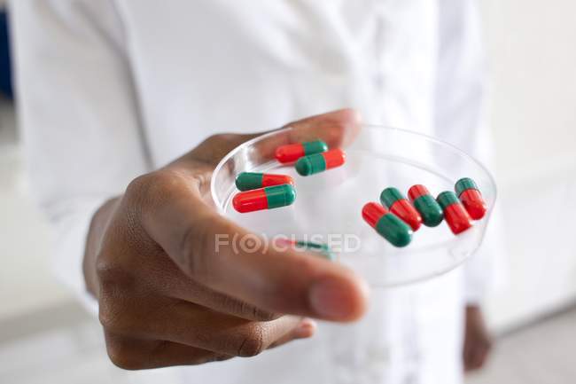 Primer plano de la mano del médico sosteniendo placa de Petri con pastillas . - foto de stock