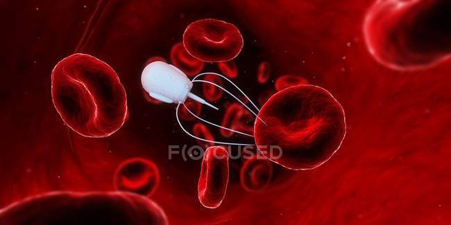 Nanorobot on red blood cell — Stock Photo