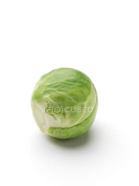 Close-up view of brussels sprout on white background. — Stock Photo