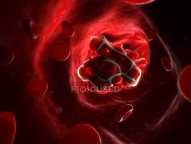 Cells trapped in fibrin protein mesh — Stock Photo