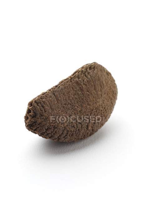 Close-up view of brazil nut on white background. — Stock Photo