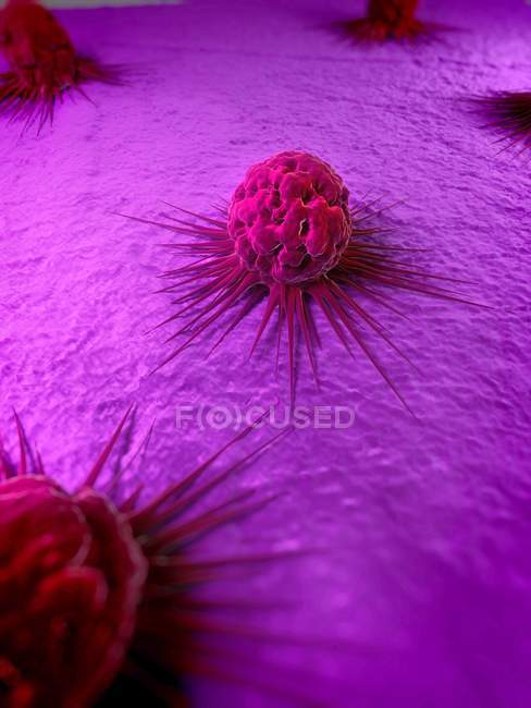 Características de las células cancerosas - foto de stock