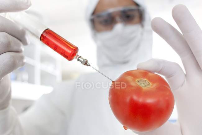 Wissenschaftler injiziert Tomate mit Spritze mit roter Flüssigkeit, konzeptionelles Bild. — Stockfoto
