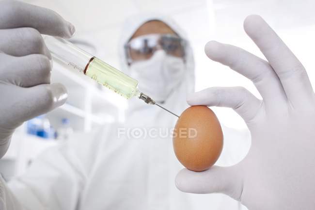 Científico inyectando huevo con jeringa con líquido blanco, imagen conceptual . - foto de stock