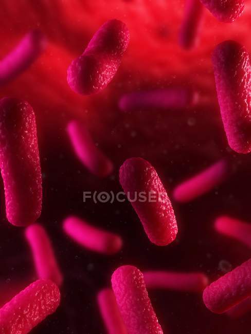 Bactéries en forme de tige organisme infectieux — Photo de stock