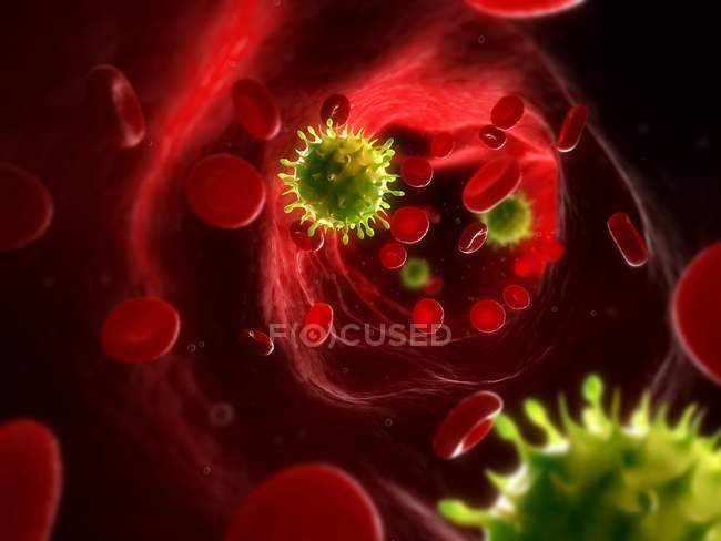 Partículas de vírus que se espalham através da corrente sanguínea — Fotografia de Stock