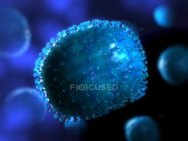 Estructura de partículas del virus de la gripe - foto de stock