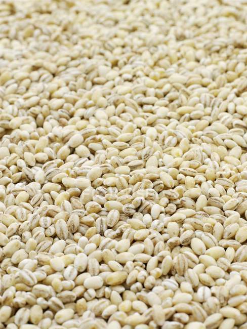 Close-up view of pearl barley kernels — Stock Photo
