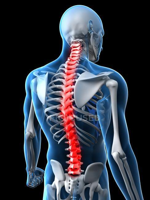 Pain in thoracic section of spine — Stock Photo