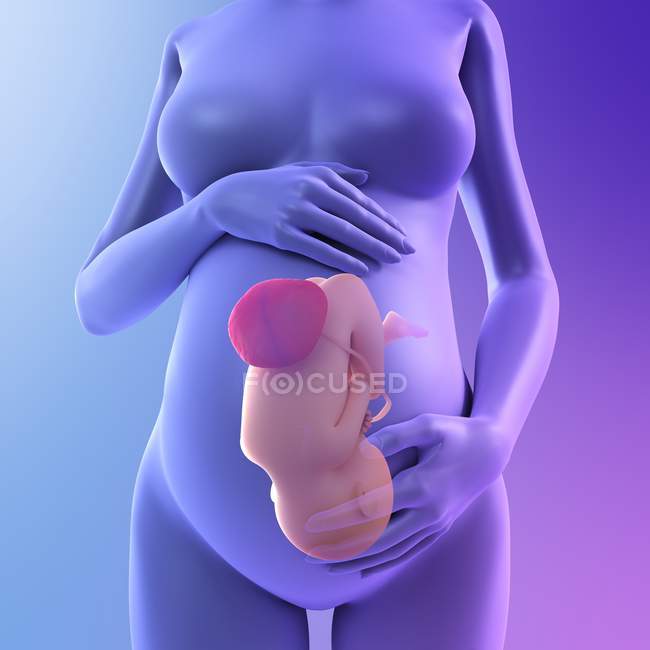 Full-term Pregnancy — Stock Photo