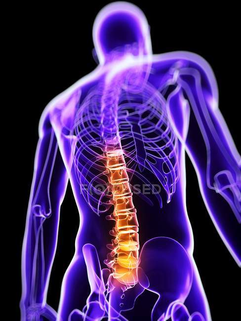 Dolore alla sezione toracica della colonna vertebrale — Foto stock