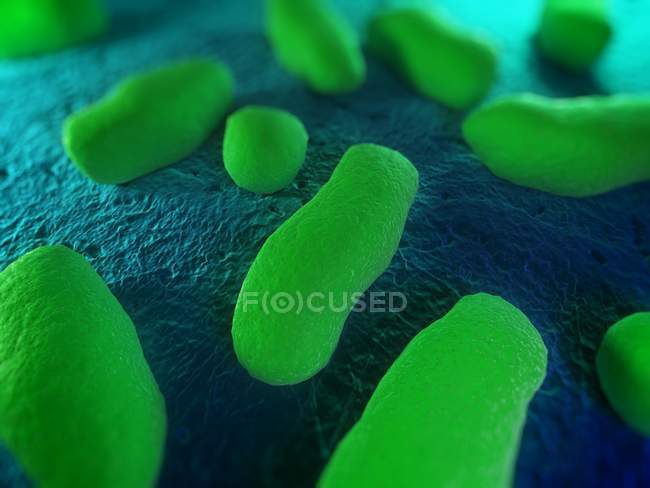 Бактериальные клетки на поверхности ткани — стоковое фото