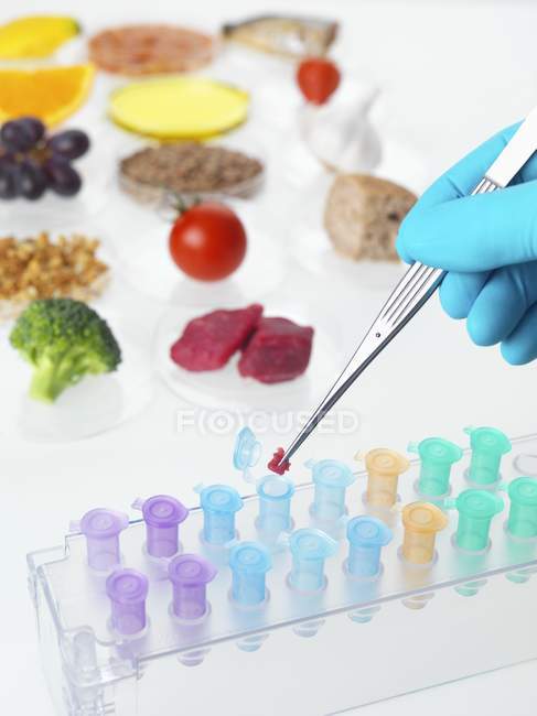 Scientist holding meat piece with tweezers for food research. — Stock Photo