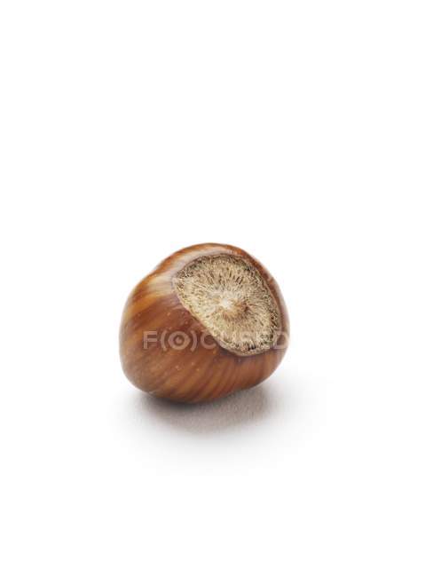 Close-up view of hazelnut on white background. — Stock Photo
