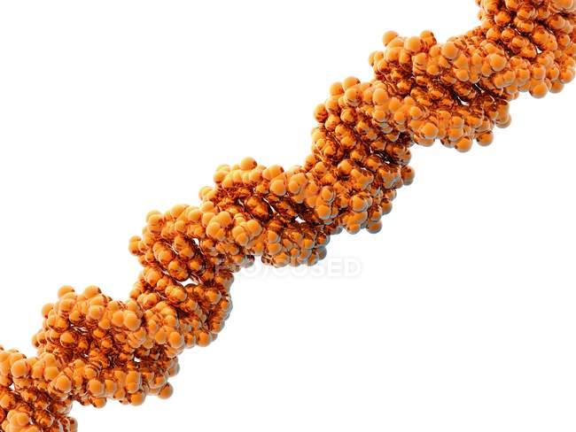 Молекулярная модель ДНК — стоковое фото