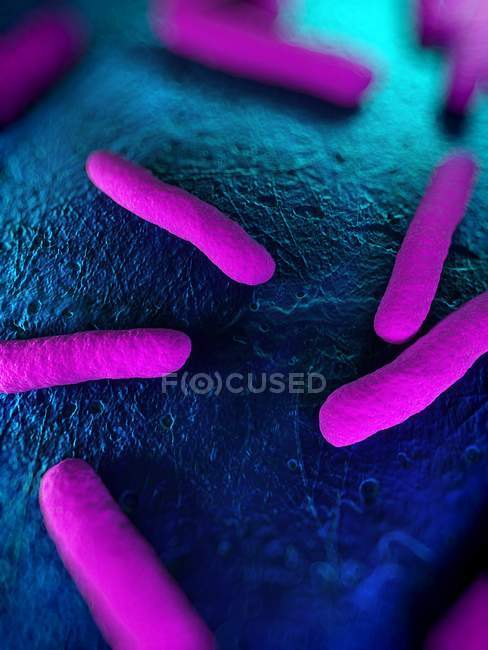 Родообразные бактерии, поражающие организм — стоковое фото