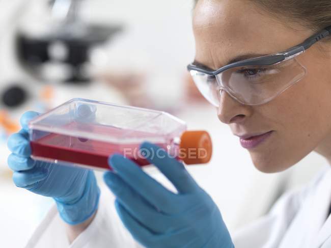 Bióloga sosteniendo matraz que contiene células madre
. - foto de stock
