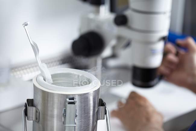 Conservazione criogenica di ovuli umani per la fecondazione in vitro  . — Foto stock
