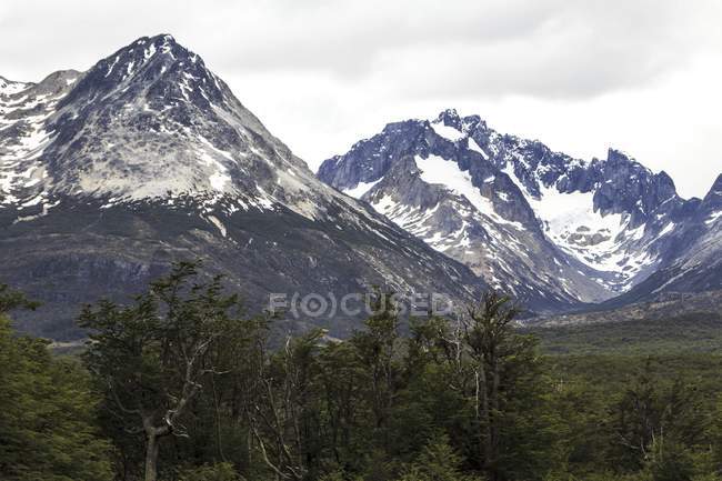 Montañas y bosque subantártico en Bahía Lapataia, Argentina - foto de stock