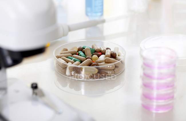 Petri plato con pastillas para la investigación farmacéutica . - foto de stock