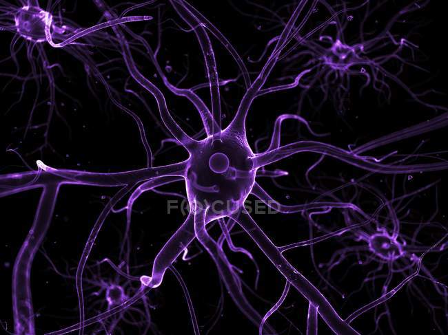 Nerve cells and axons — Stock Photo