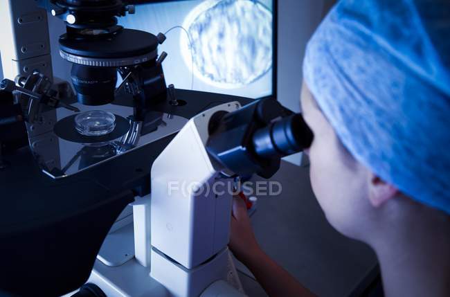 Female scientist looking in microscope in in vitro fertilisation laboratory. — Stock Photo