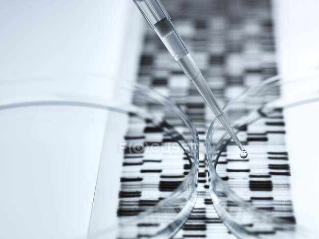 Primer plano de placas de Petri y pipeta para la investigación genética . - foto de stock