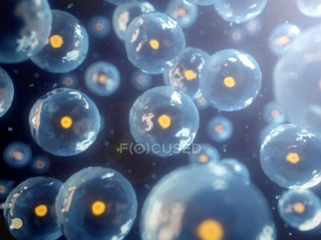 Visual rendering of Human cells — Stock Photo