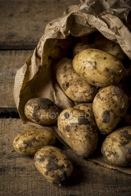 Patatas recién cosechadas - foto de stock