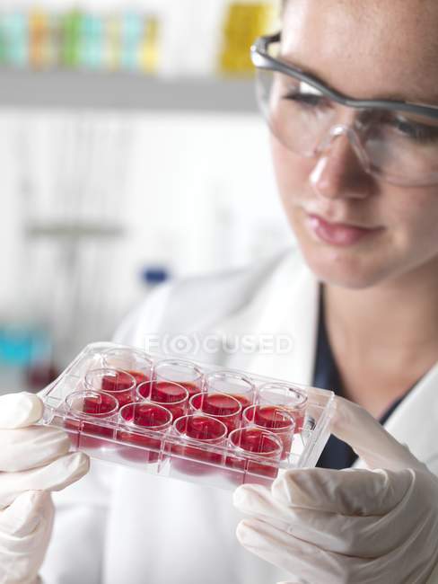 Female scientist holding tray for stem cell research. — Stock Photo