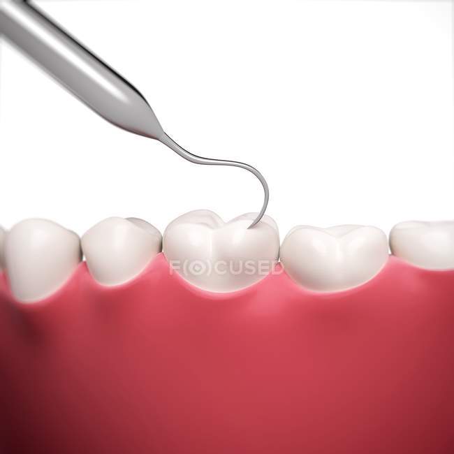 Menschliche Zähne werden geputzt — Stockfoto