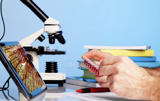 Abgeschnittene Ansicht von Wissenschaftlerhänden, die Proben für die biologische Forschung halten. — Stockfoto