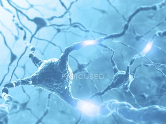 Red neuronal y axones - foto de stock