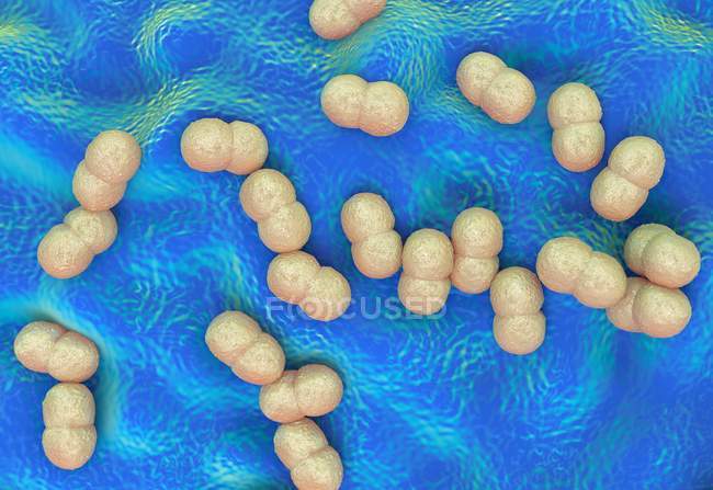 Bacteria Staphylococcus epidermidis - foto de stock