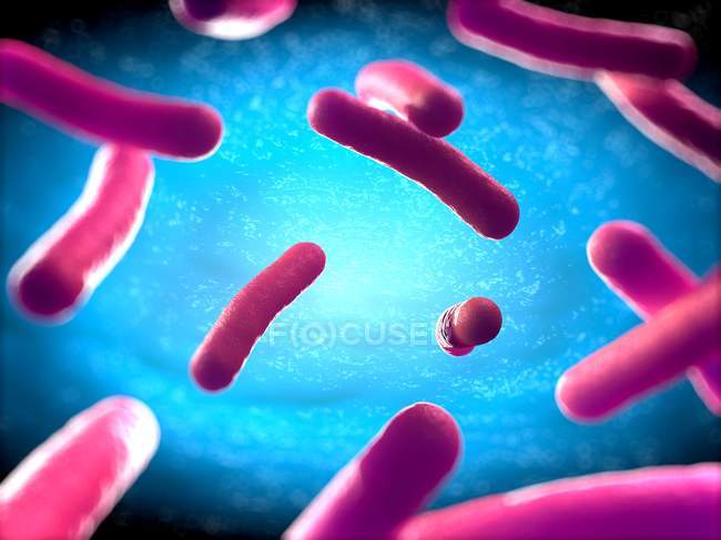 Bactérias em forma de bastonete — Fotografia de Stock
