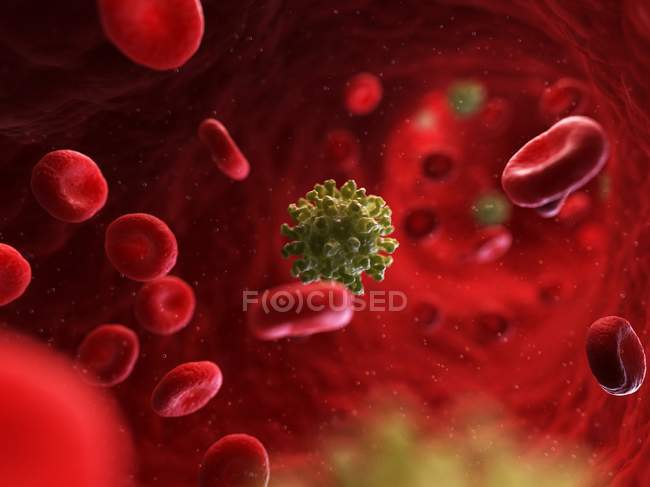 Hepatitis E virus particles — Stock Photo