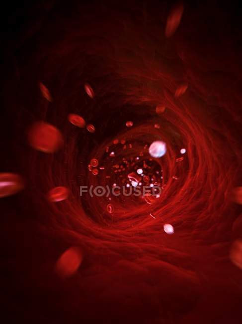Cellules sanguines rouges — Photo de stock