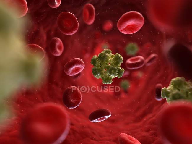 Partículas del virus del papiloma humano en el torrente sanguíneo - foto de stock