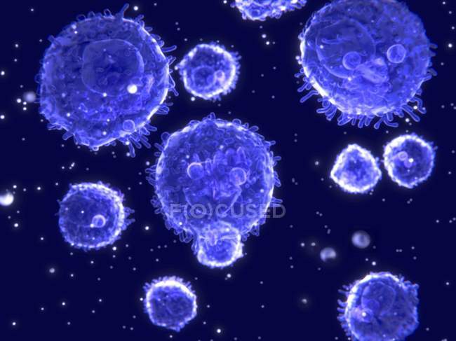 Lymphozyten weiße Blutkörperchen — Stockfoto