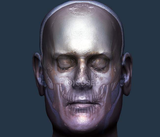 Human head anatomy — Stock Photo