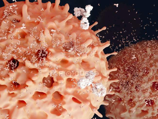 Illustration de plasmocytes — Photo de stock