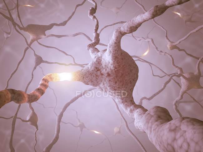 Réseau neuronal montrant les terminaux synaptiques — Photo de stock