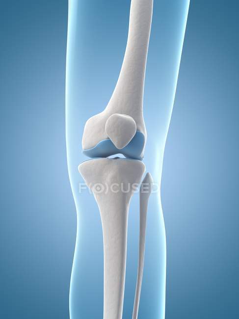 Estrutura de união do joelho — Fotografia de Stock