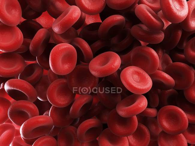 Globules rouges normaux — Photo de stock