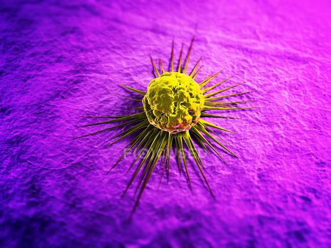 Célula cancerosa con filamentos - foto de stock