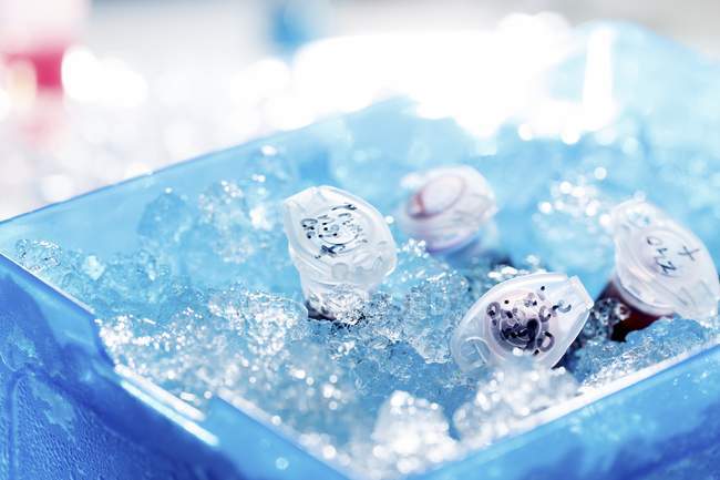 Sample tubes in container with ice in laboratory. — Stock Photo