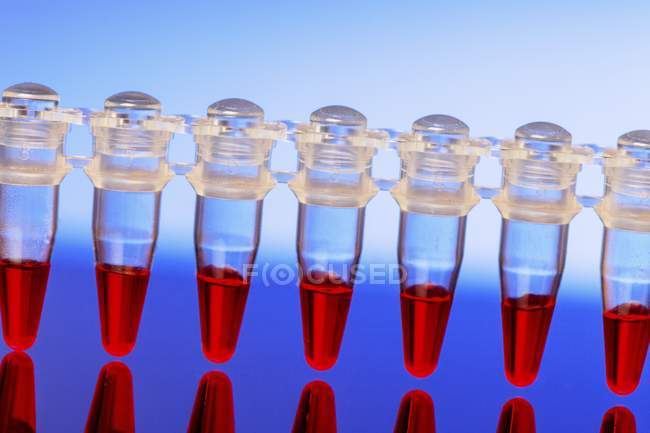 Close-up of microtubes with red liquid. — Stock Photo