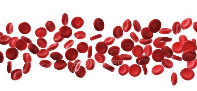 Red blood cells — Stock Photo